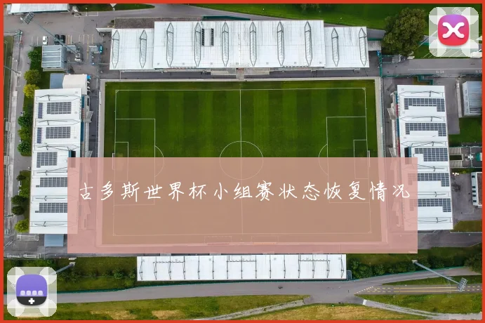 古多斯世界杯小组赛状态恢复情况